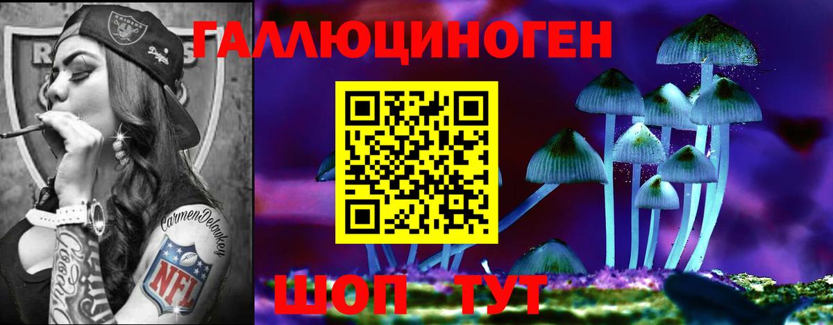 Псилоцибиновые грибы Psilocybine cubensis Видное